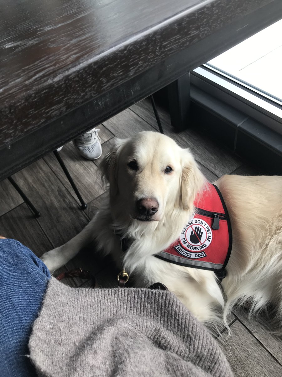 sampson_dog's tweet image. 4) Accessibility develops solutions meeting needs of all users with/without disabilities. Universal design shifts to a broader focus which is a plan to build physical, learning and work environments usable by a wide range of people regardless of age, size or disability status