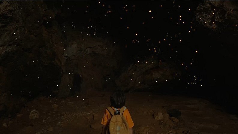 phtvandfilmupd's tweet photo. Zig Dulay’s ‘FIREFLY’ wins Best Picture. #MMFF2023 https://t.co/xxVYZpTlkq