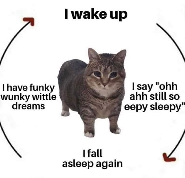 Itsss Bri tweet media