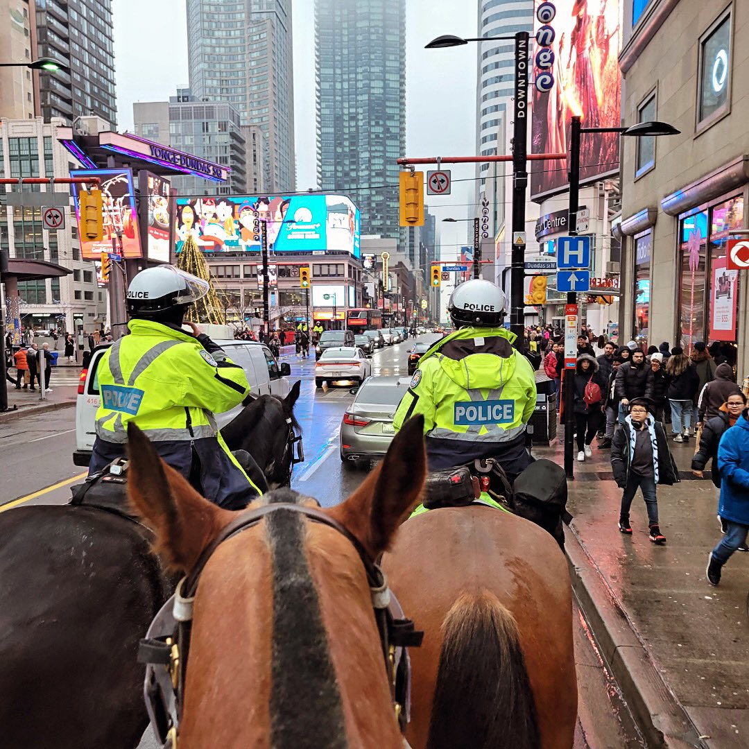 During yesterday’s busy shopping rush #Mounted assisted our Public Safety Unit Officers with the arrest of 3 suspects in a stabbing & the recovery of 2 weapons. Great examples of teamwork & how the vantage point from the back of a horse works in a crowd. #spottedyou #standtall