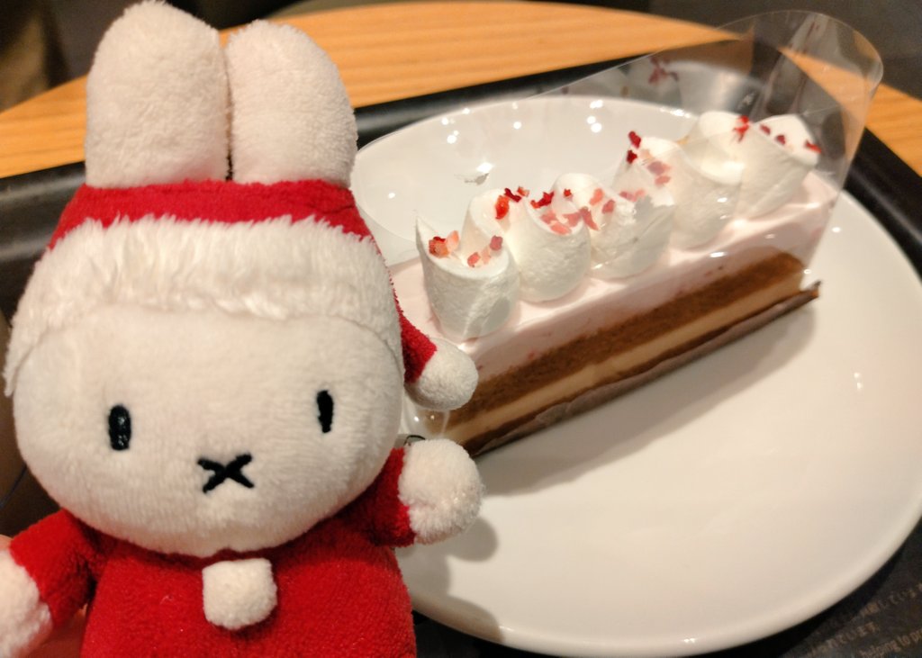 あわてんぼうのサンタクロースしゅるつもりが、おねぼうのミータクロースになっちゃった❗😂🐰🎅
　
みんな、メリークリスマス〰❗🎄🎅