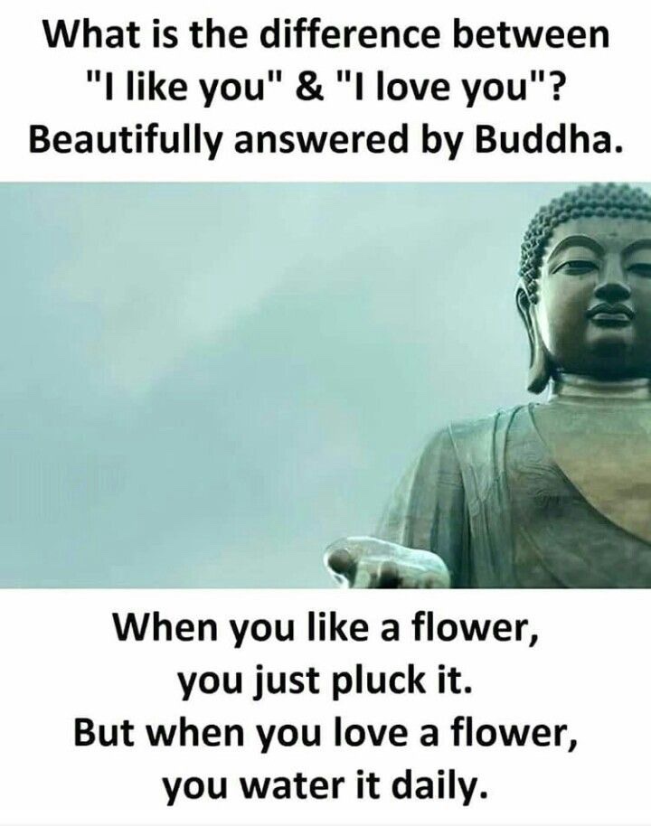 bundaladehacker's tweet image. 