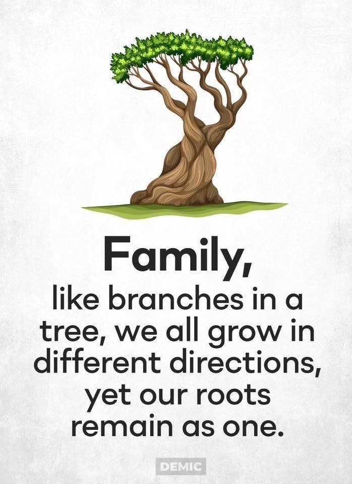 bundaladehacker's tweet image. 