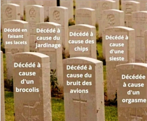 Athénaïs Roy 🌿🌸🙏⚜⚔🦋 tweet media