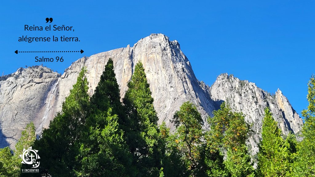 Fiesta de San Juan, Apóstol y evangelista

Reina el Señor, alégrense la tierra. 
Salmo 96

l8r.it/vU2C

#lecturasdeldía #lecturasdeldia #biblia #catolico #catolicos #salmo