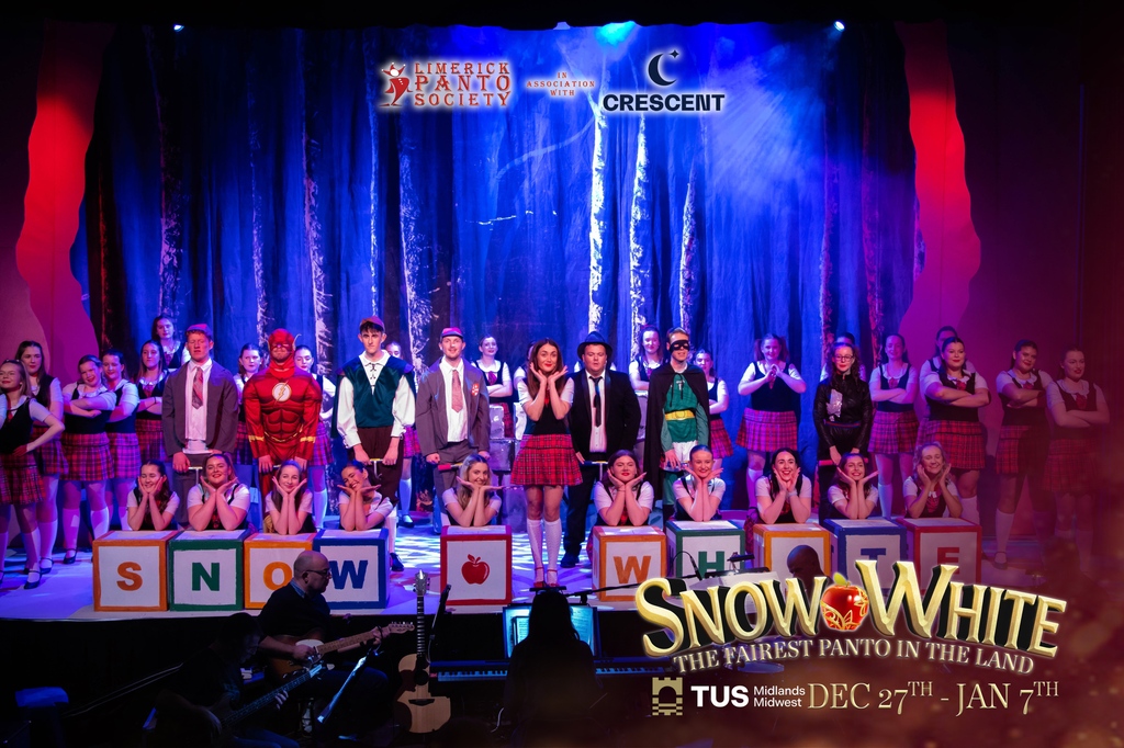 Limerick Panto Society tweet media