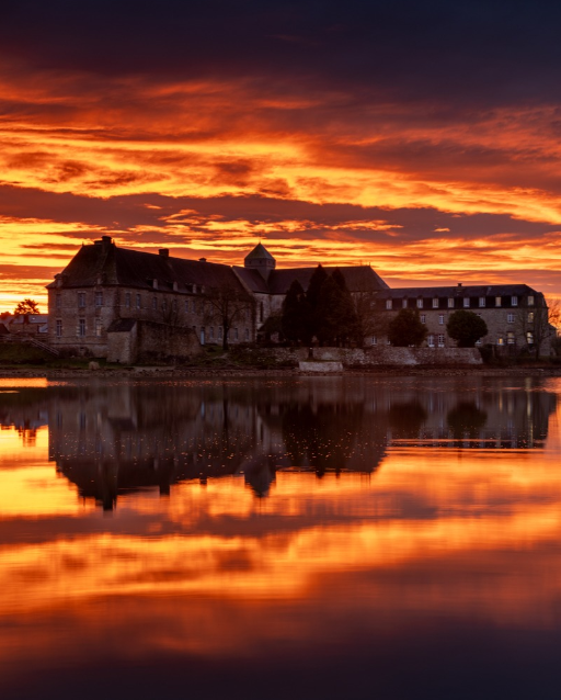 Athénaïs Roy 🌿🌸🙏⚜⚔🦋 tweet media