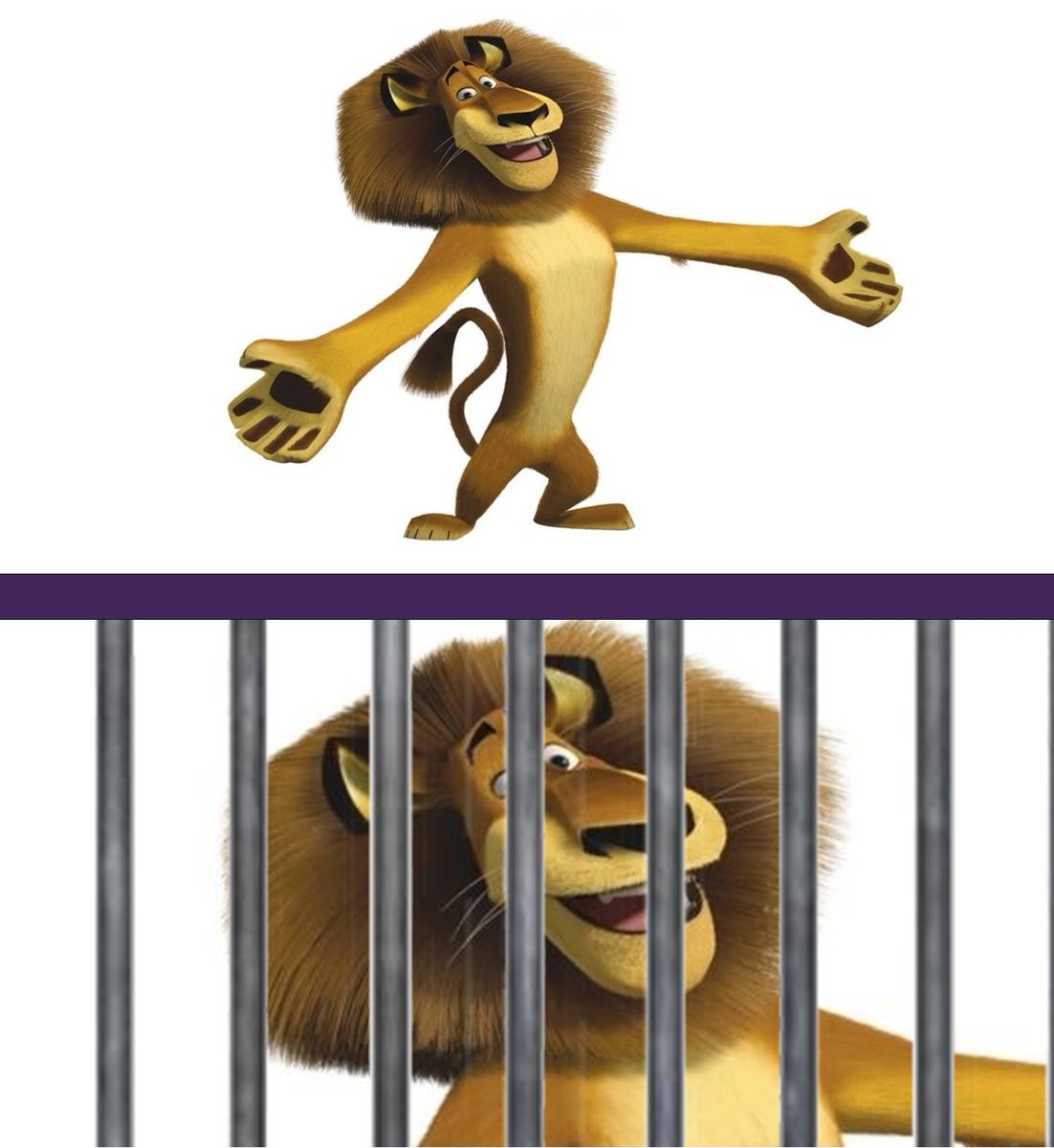 Лентач tweet media