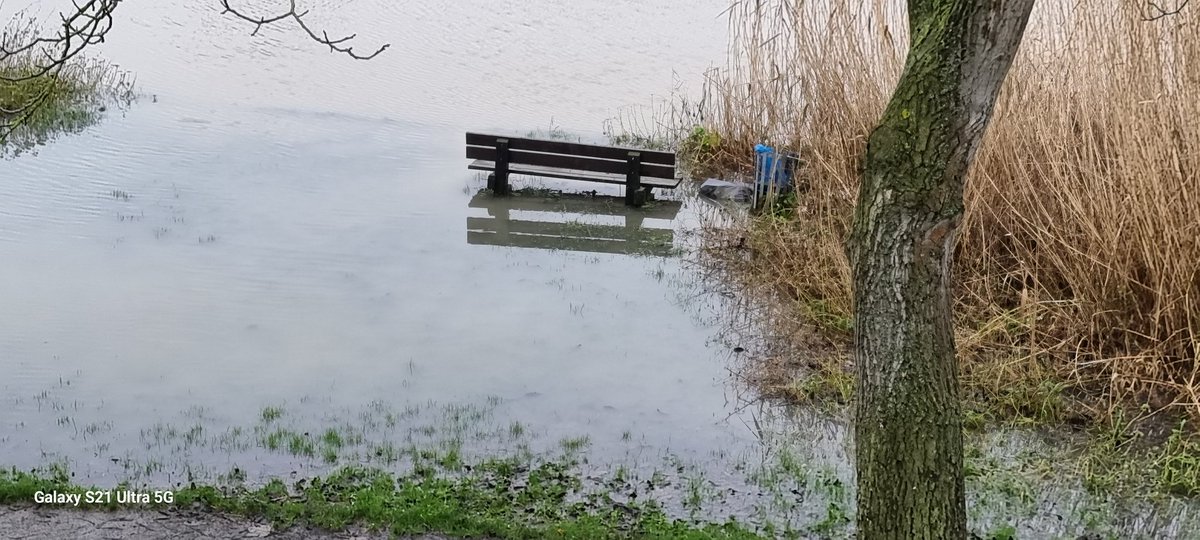 VroeghElly's tweet photo. Hoogwater west Betuwe https://t.co/tzCWR0HgCx