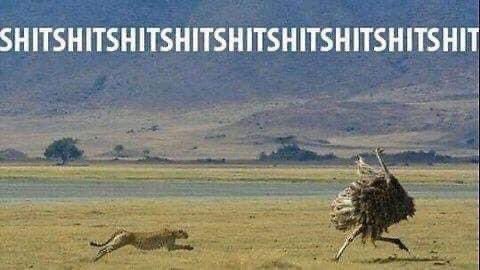 Melinda Howard tweet media