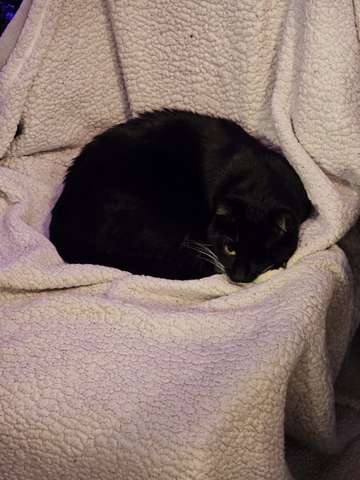 Went to get a shower came back to this. https://t.co/5KK9x3bvum<a href="/tag/starfield"class="tags"><span>#starfield</span></a>