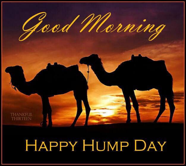 donnywalker94's tweet photo. Good morning to all on planet earth and hello Wednesday.  #HumpDayMotivation https://t.co/BRK99jggoY