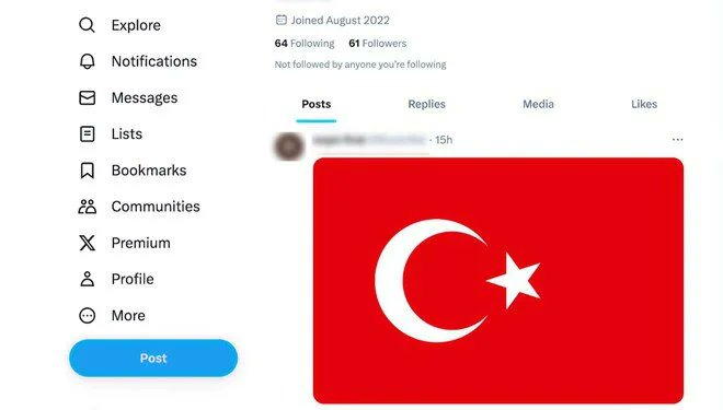 Sosyal medyadan terör propagandası yapan kadına, 1 ay boyunca Türk bayrağı paylaşma cezası verildi.