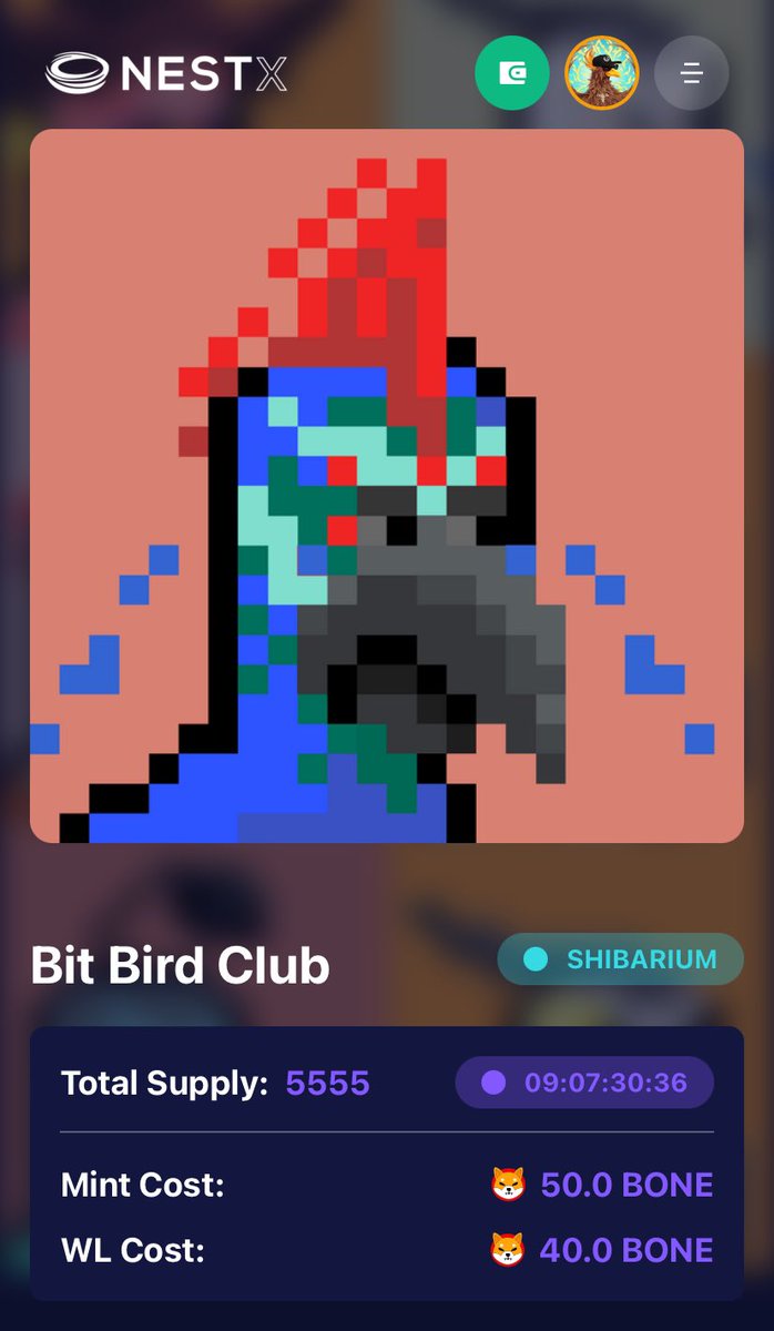 Bit Bird Club tweet media