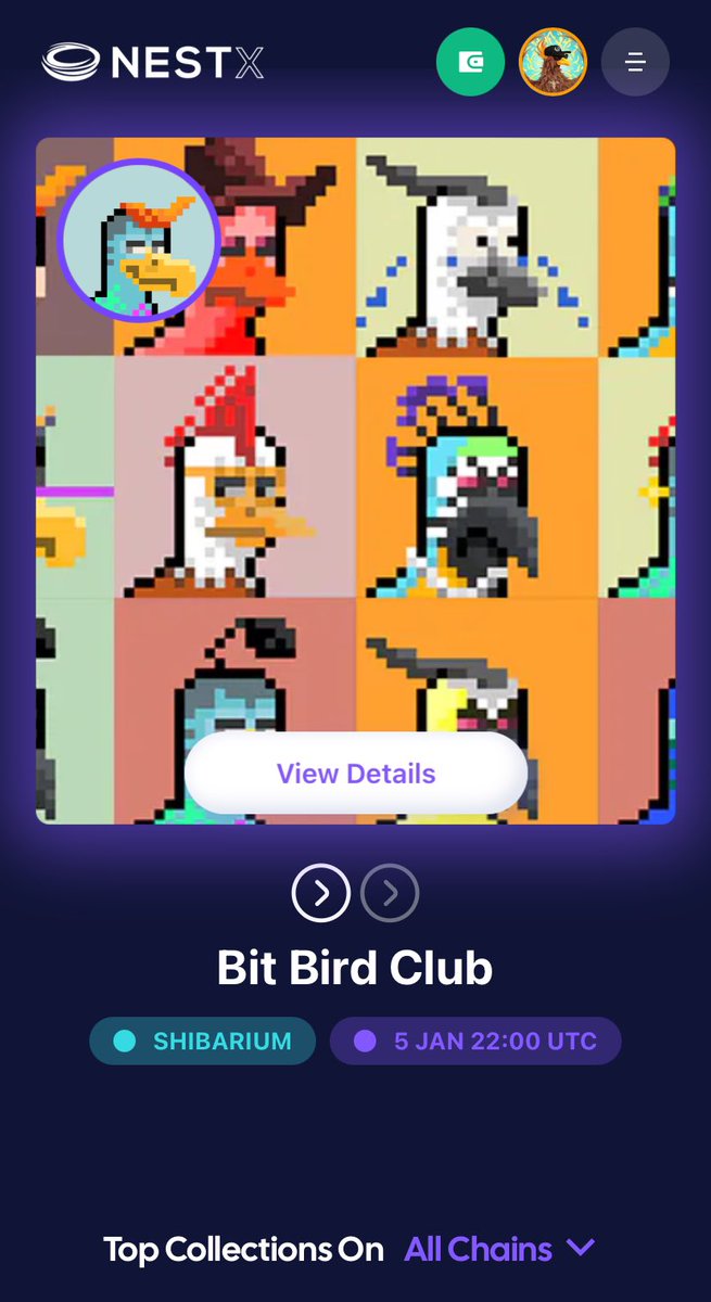 Bit Bird Club tweet media