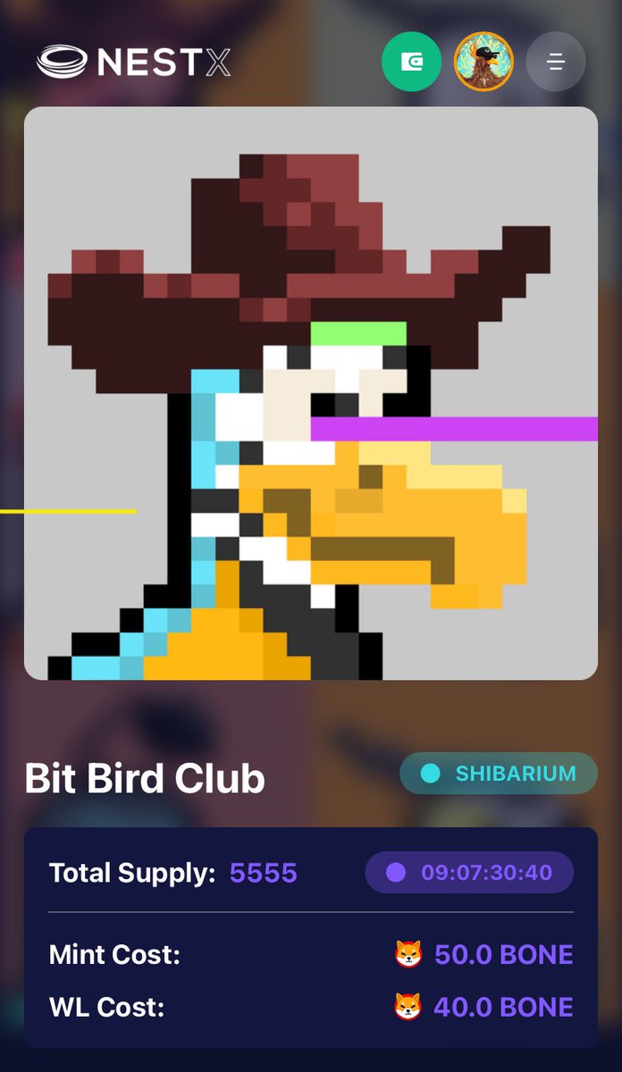 Bit Bird Club tweet media