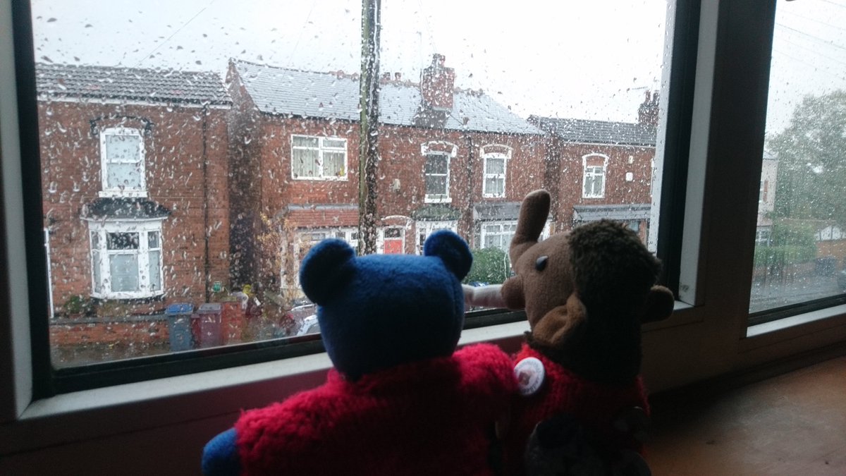 RedditchMammoth's tweet photo. 'Absolutely miserable out there, Blueberry.' 'The definition of #Driech, Milly.' 'I'm glad we went out yesterday instead of today.' 'Best to stay in and eat cheese.' 'I like your thinking.' π§ #Cheese #StormGerrit #RainyDay #StormyDay βπ§οΈβ https://t.co/msbFCUQGfS