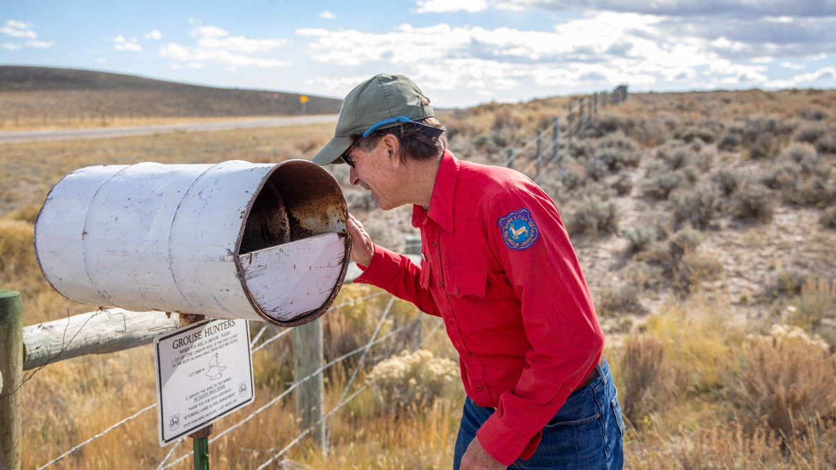 Early estimates from WY's 2023 sage grouse wings indicate increased reproduction. In a preliminary analysis, WY's 2023 chick-to-hen ratio was 1.82 chicks/hen. It’s an increase from previous years. Learn more: bit.ly/WGFDNews