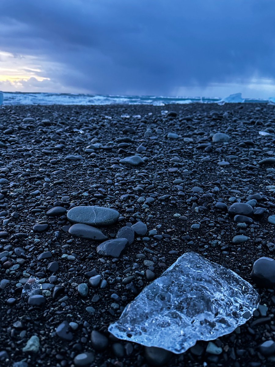 flowercup NFT tweet media