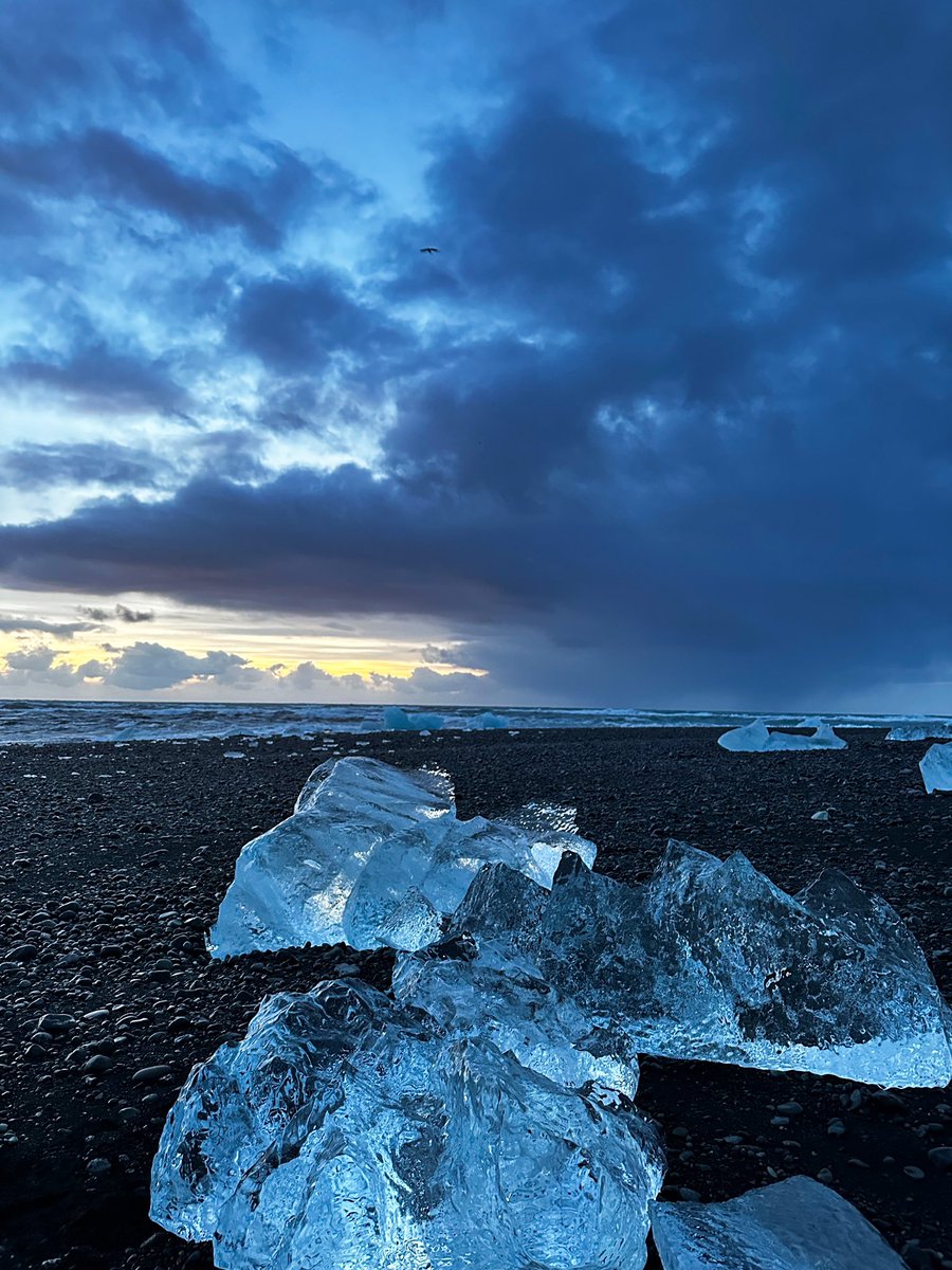 flowercup NFT tweet media