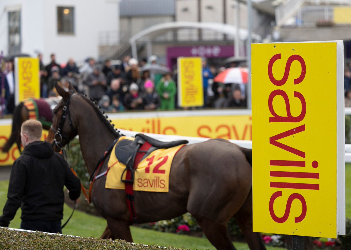 SavillsIreland's tweet photo. 💥This time tomorrow💥

The Savills Chase returns with an *exceptional* line up: last year’s winner Conflated, 2020’s winner A Plus Tard, Cheltenham Gold Cup winner Galopin Des Champs and Punchestown Gold Cup winner Fastorslow are just some of the stellar entries. Wow! 🌟 https://t.co/r664fFKdgb