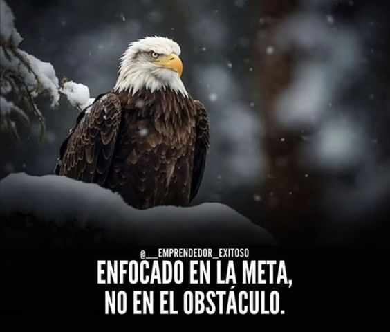 Rosmery Castillo (@rosmeryc90) on Twitter photo 