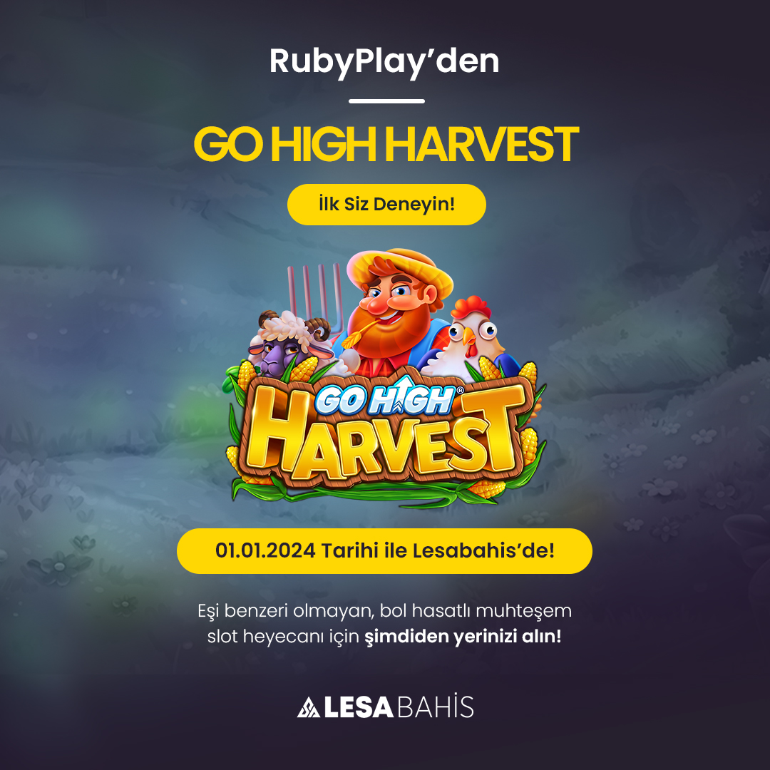 LesaBahis tweet media