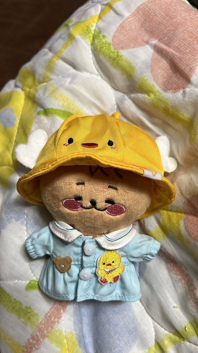panmameo's tweet photo. @B1A4JP_go 
無事しんこみちゃん
お迎え出来ました。
ドゥル組です。 https://t.co/zzJBweoMqx