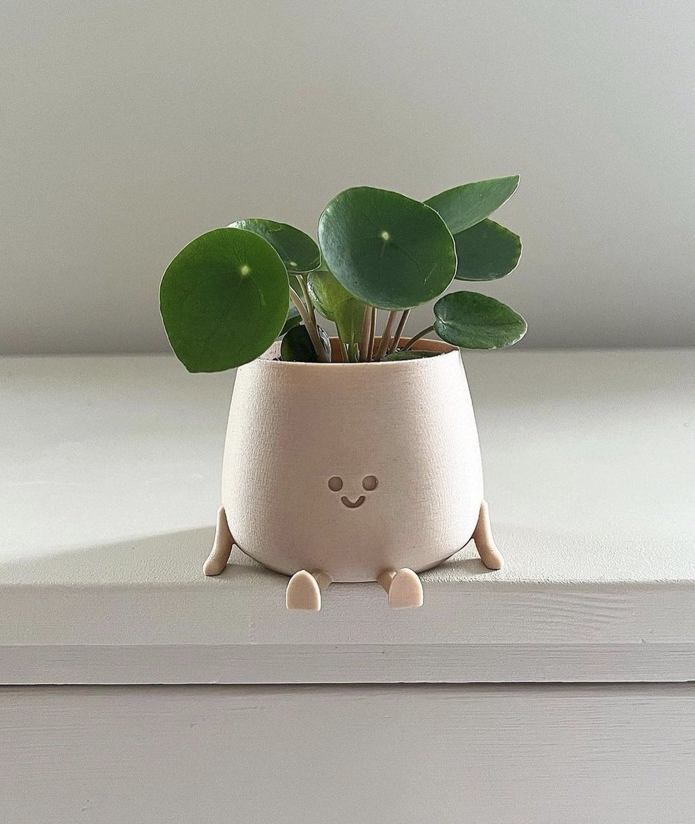 A happy little planter 🌿