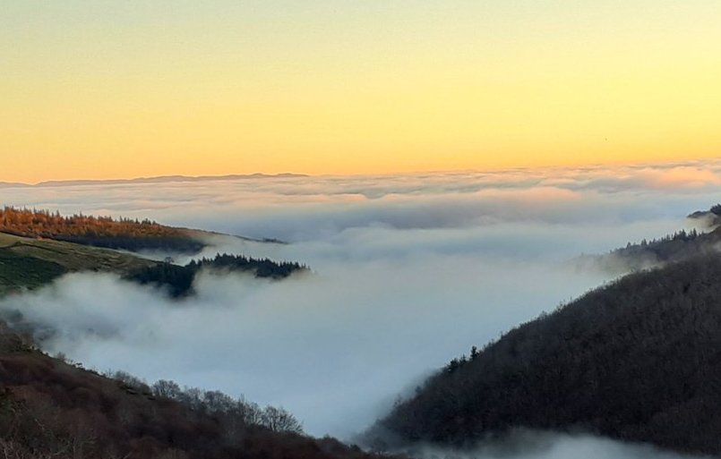 El Chacal tweet media