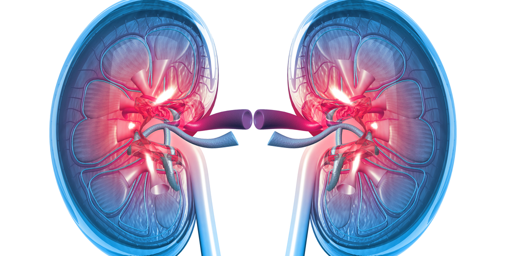 WebMD's tweet photo. Your kidneys process everything you eat or drink, including anything that’s bad for you, like lots of fat, salt, and sugar. Find out how to keep these important organs in tip-top shape. https://t.co/ZX3perHzNr https://t.co/6USz5LdnUc