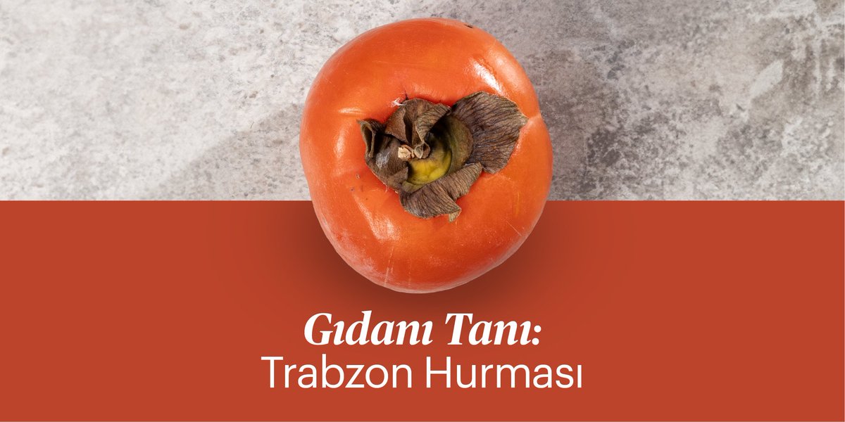 Cennet meyvesi, cennet hurması, cennet elması, Japon hurması… Sonbahar-kış aylarında kısacık gördüğümüz bu tupturuncu meyvenin özellikleri neler, nelere dikkat etmeli, mutfakta neler yapılabilir?
Bu linkten yazımıza göz atabilirsiniz 👉 ruhundoysun.com/yazilar/gidani…