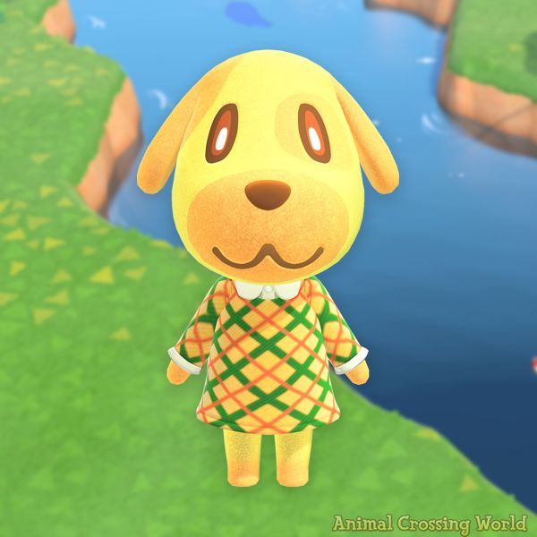 ACWorldBlog's tweet photo. Happy Birthday to Goldie! 🎉 🐶 #ACNH https://t.co/TQyYSoDHTv