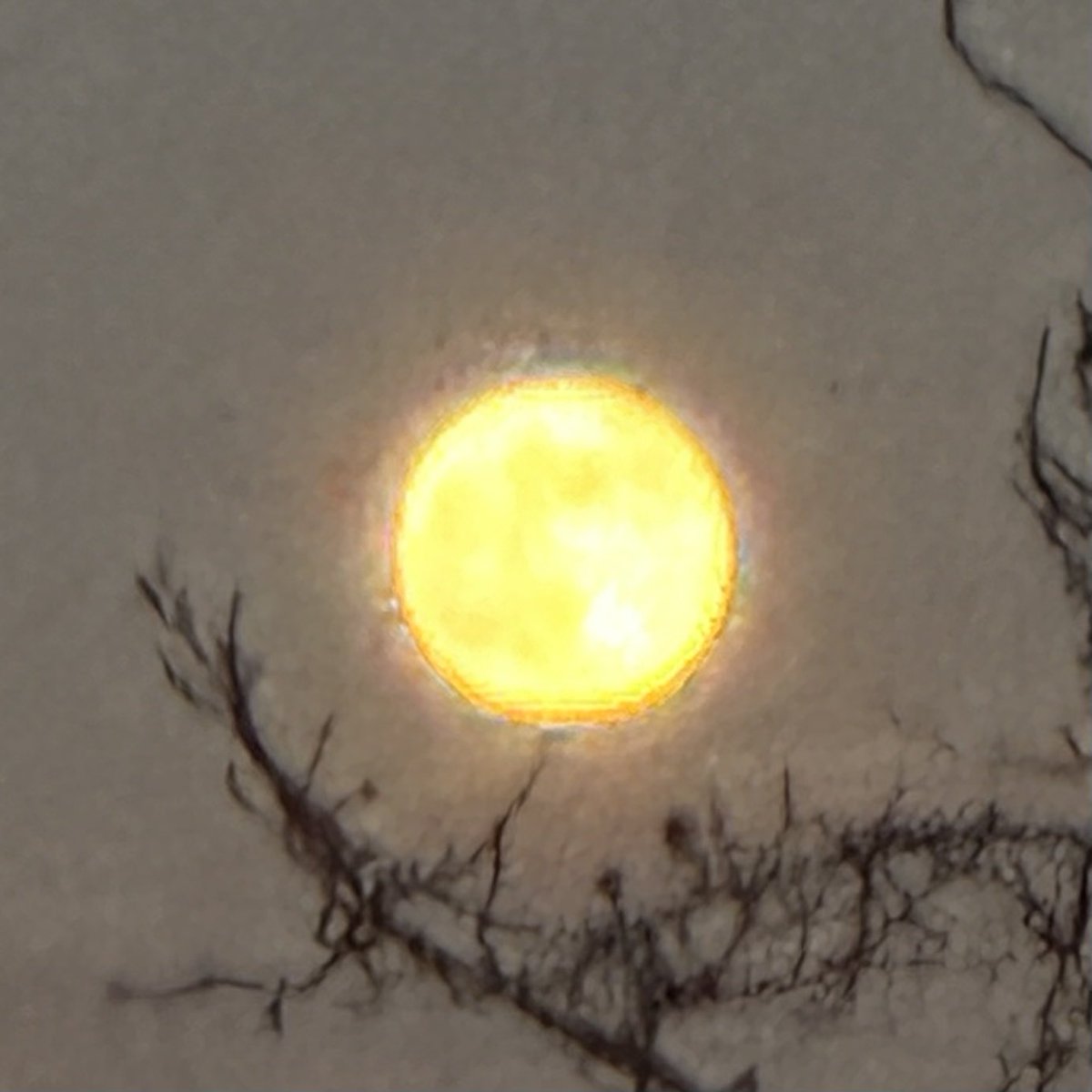 alexonabike's tweet photo. Take that @SamsungMobile users. Incredible shots of the #moon on my @Apple #iphone14ProMax https://t.co/RghgKExUfx