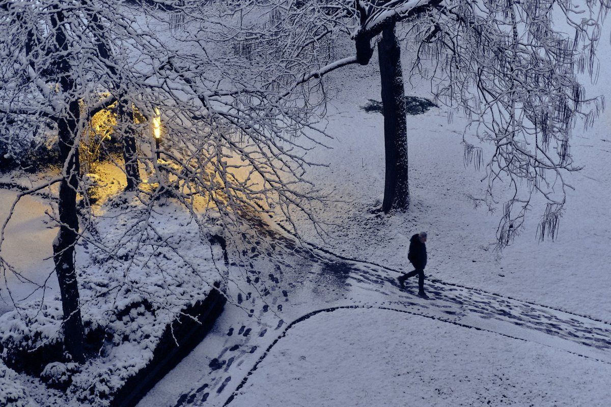 First snowfall of the year - Geneva,Switzerland. #photography #vss365 #fujifilm_xseries #Photographyisart #NFTartwork #nft @TPGallery @ThePhotoHour @FujifilmX_US #NFTCommunity #photographylovers #WritingCommunity #NFTcollections #peoplescreatives #visualstorytlling #lensculture