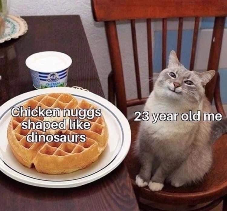 PostsOfCats's tweet image. 