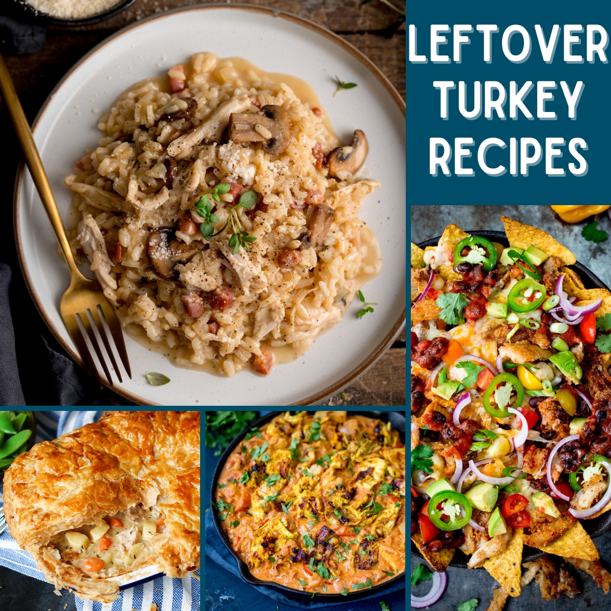 KitchenSanc2ary's tweet photo. Unlock the full potential of your leftover turkey with one (or more) of these amazing leftover roast turkey recipes that will transform your post-holiday meals into super tasty dinners. 

https://t.co/EQRcxpMGOp
#KitchenSanctuary #leftoverturkey #Foodie https://t.co/9hcrgxh4sX