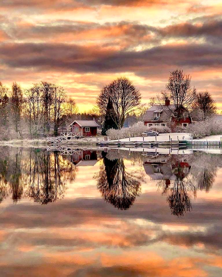 ✪lga🌷💕🌟 tweet media