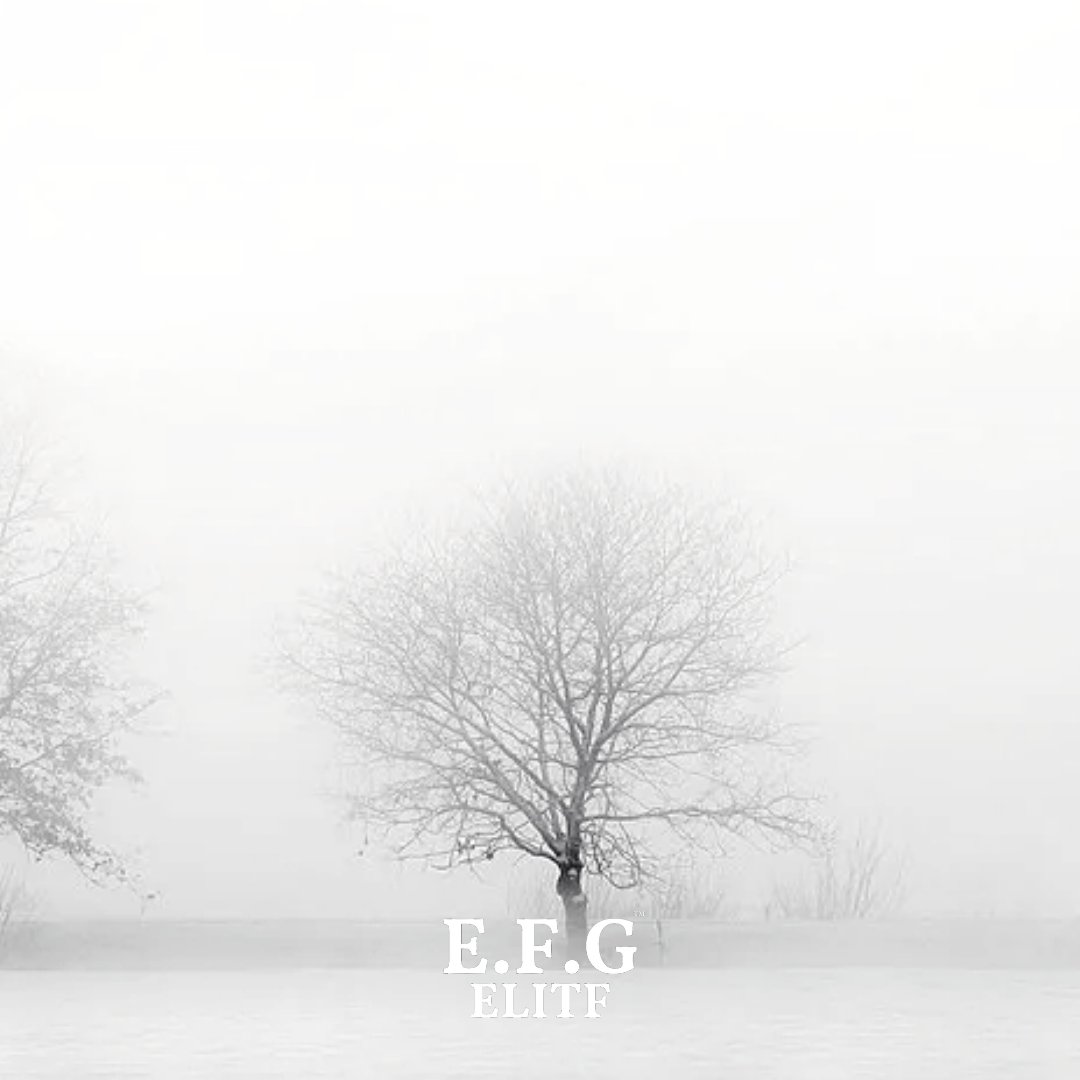 EFGELITF's tweet photo. https://t.co/B6aEIuzoM8