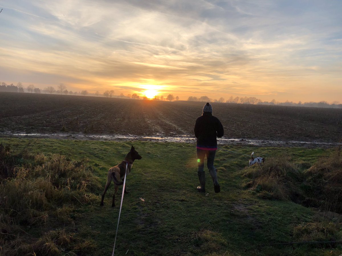 PDBaloo (@pbaloo) on Twitter photo Happy 5th GOTCH DAY π₯³
Five years ago today <a href="/PBaloo/">PDBaloo</a> came to live with me.
She changed my life & many others #spreadingsmiles #wellbeingdog <a href="/OscarKiloNine/">OscarKilo9</a> <a href="/OscarKiloUK/">Oscar Kilo</a> <a href="/EssexPoliceUK/">Essex Police</a>
Thank you to everyone who has supported us on our journey π Happy 5th GOTCH DAY π₯³
Five years ago today <a href="/PBaloo/">PDBaloo</a> came to live with me.
She changed my life & many others #spreadingsmiles #wellbeingdog <a href="/OscarKiloNine/">OscarKilo9</a> <a href="/OscarKiloUK/">Oscar Kilo</a> <a href="/EssexPoliceUK/">Essex Police</a>
Thank you to everyone who has supported us on our journey π