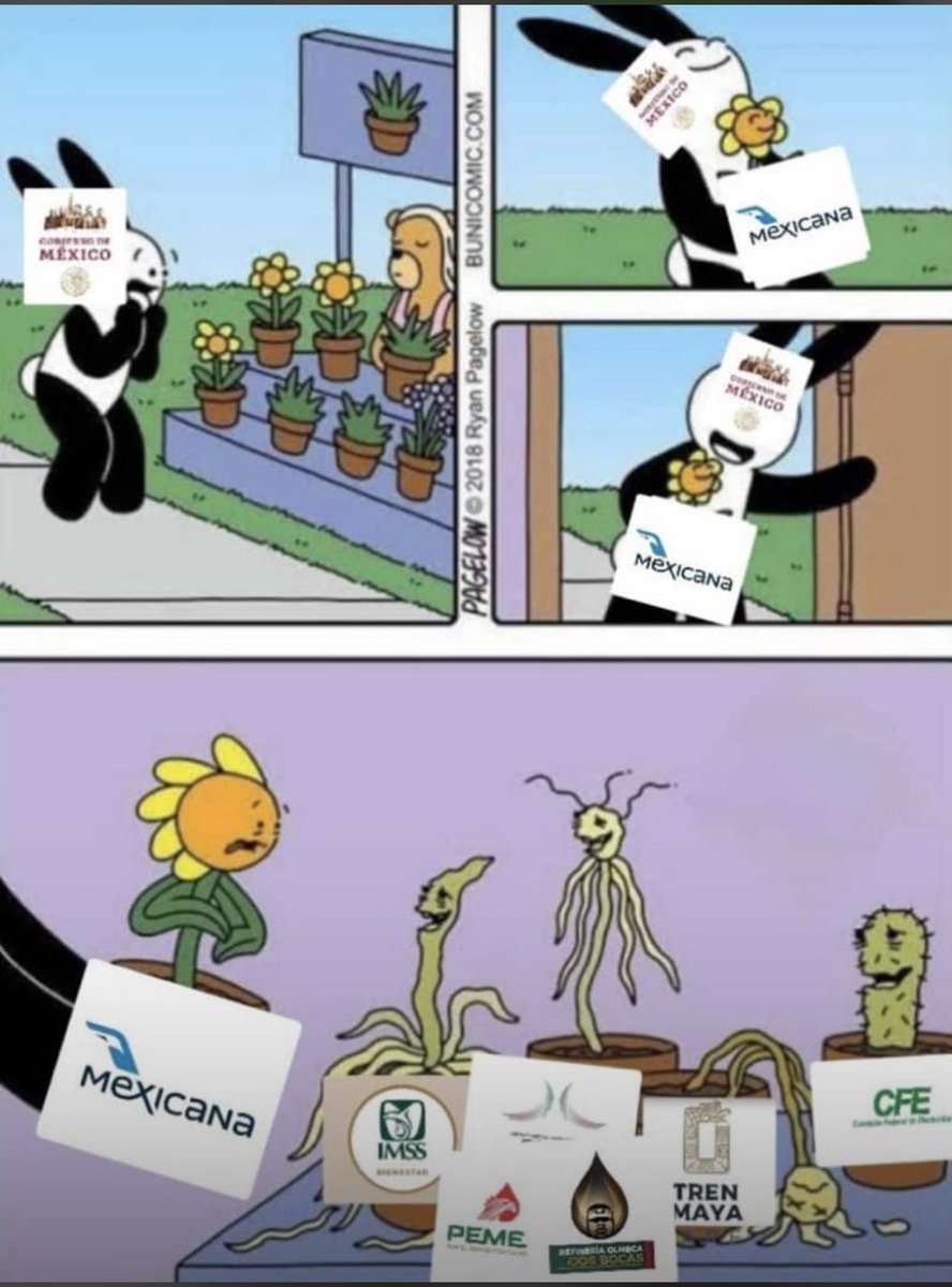 El güero bellako tweet media