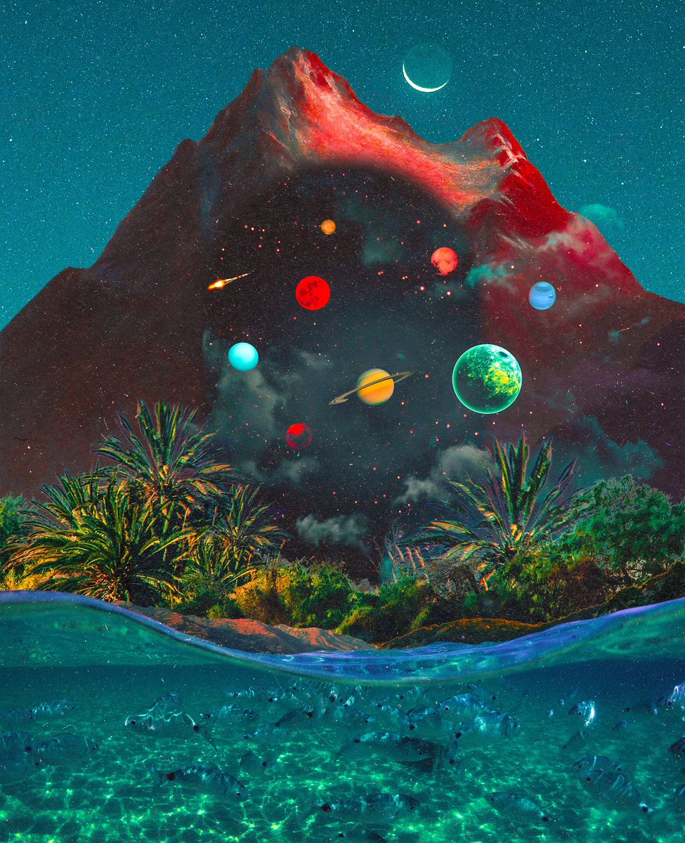 post wook ✨🌻 tweet media