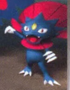 Mrbigtoe410's tweet photo. @CoolGuyEli_ Zoo wee mama??? https://t.co/rRxNOvgPxC
