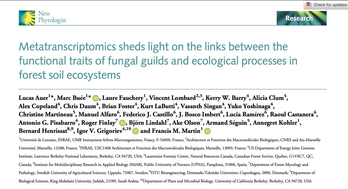 Francis M. Martin (@fmartin1954) on Twitter photo After a solid 10 years of work, our paper in <a href="/NewPhyt/">New Phytologist</a> is out! We dove into the world of fungi using metatranscriptomics to explore how ectomycorrhizal, saprotrophic, and pathogenic guilds play together (or not) in various forest soils across different biomes🍄
#JGI <a href="/INRAE_Nancy/">INRAE Grand Est - Nancy</a> After a solid 10 years of work, our paper in <a href="/NewPhyt/">New Phytologist</a> is out! We dove into the world of fungi using metatranscriptomics to explore how ectomycorrhizal, saprotrophic, and pathogenic guilds play together (or not) in various forest soils across different biomes🍄
#JGI <a href="/INRAE_Nancy/">INRAE Grand Est - Nancy</a>