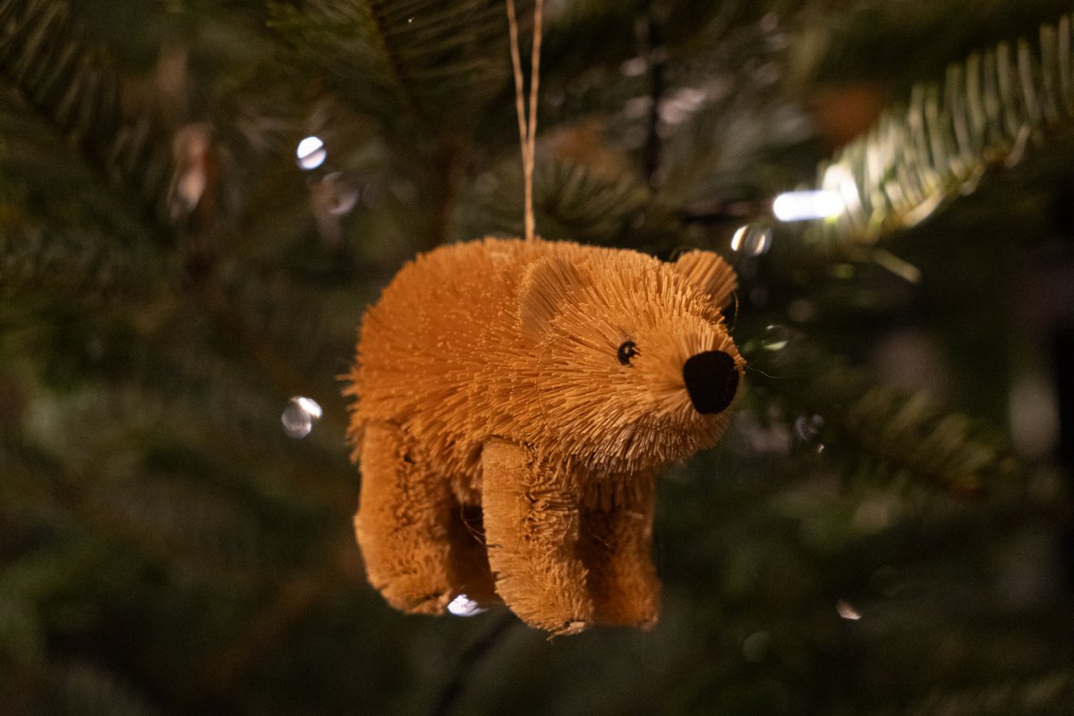 errorAlinaaa's tweet image. 🎄this year's Christmas photos are online:
alina-space.de