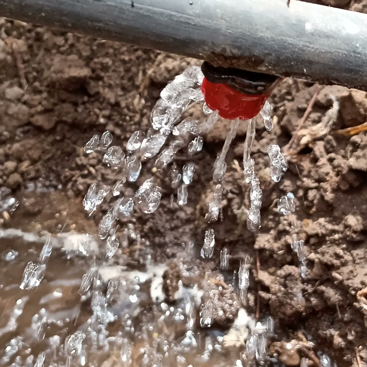 AccionCerro's tweet photo. Seguimos, el compromiso siempre está, los tiempos y los recursos son pocos , pero con voluntad se puede se reinventa y se avanza, Parque Cerro Los Morros, será una realidad.
#parquecerrolosmorros
#SaludMental
#Deporte https://t.co/zsMb972TtD