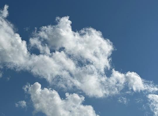 cloudywithfaces's tweet image. Oscar the Grouch 
#sesamestreet #sky #clouds