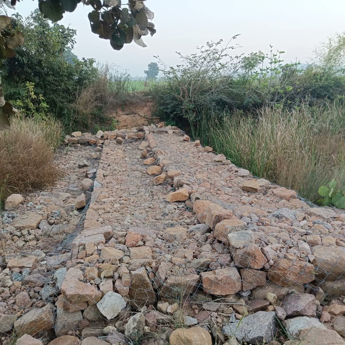 दिनांक 27 दिसंबर 2023 को पन्ना जिले के अजयगढ़ विकासखंड की ग्राम पंचायत मोहाना, पड़रहा मे Q.C.I. टीम से अनुज कुर्मी के द्वारा DLI #1,3,4 एवं 5 का भौतिक सत्यापन  किया गया। 
<a href="/AtalJal/">ATAL JAL</a> <a href="/mpspmu/">AtaljalMPSPMU</a>