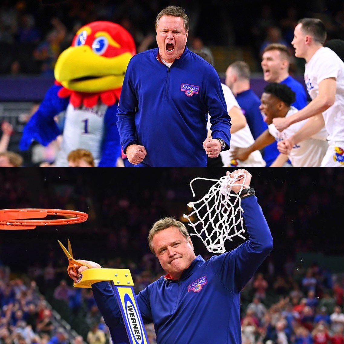 Kansas Jayhawk Fans tweet media