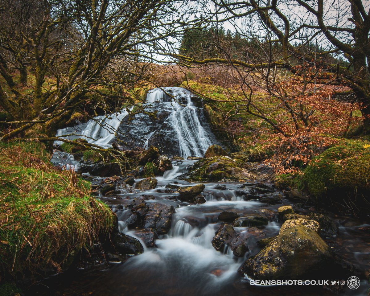 seansshots's tweet photo. It's March images in my countdown of my favourite images from 2023, four of my faves! #myimages #favimages2023 #picsoftheyear2023 https://t.co/Kr4OKVFvXy
